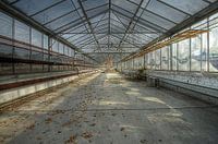 Ecole Labyrinthe 3