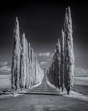 Poggio Covili - Tuscany - 2 - infrared black and white by Teun Ruijters