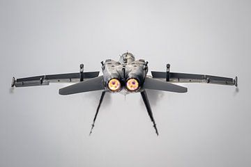 Finnish F-18 with afterburner by Dennis Janssen