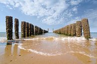 Die Wellenbrecher am Strand von Domburg, Zeeland von Martijn van der Nat Miniaturansicht