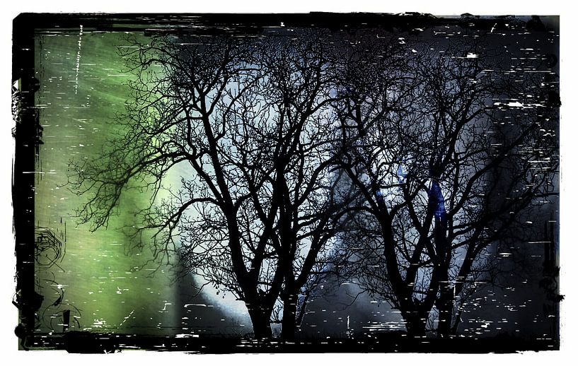 Het donkere bos in de Nacht von Nicky`s Prints