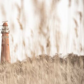 Roter Nordleuchtturm Schiermonnikoog von Ron van der Stappen