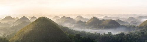 Panorama picture Chocolate Hills on Bohol Island in the Philippines at sunrise with fog in the valle