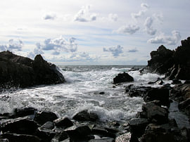 Wild-romatische Küstennatur, Kullaberg Schweden 3