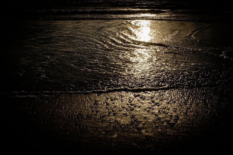 Golden sunset on the waves of the North Sea | Nature photography by Diana van Neck Photography