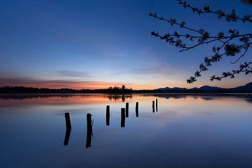 Ein neuer Tag erwacht am See- erstes Licht am Horizont von Christina Bauer Photos