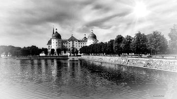 Château de Moritzburg