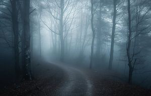 Wald