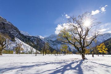 Winter Landscape by Thomas Froemmel