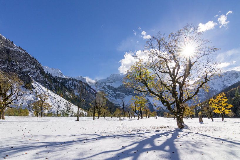 Winterlandschaft van Thomas Froemmel