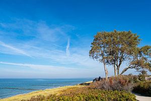 Ostseeküste auf dem Fischland-Darß in Ahrenshoop