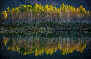 Reflectie in water. Lofoten, Noorwegen van Floris Heuer