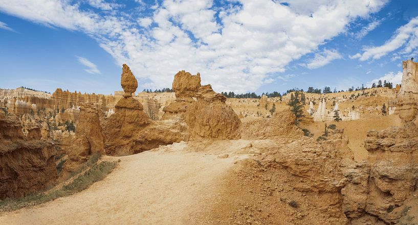 Bryce Canyon National Park, USA. Panoramic photo by Gert Hilbink