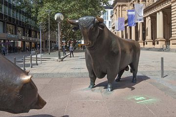 Bull and bear by Torsten Krüger