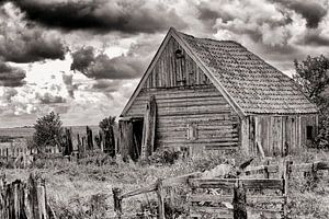 Vieille grange en bois à Texel noir et blanc