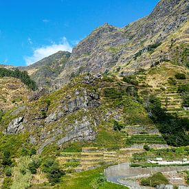 Grün bewachsener steiler Berg auf Madeira mit blauem Himmel im Hintergrund von Hans-Heinrich Runge