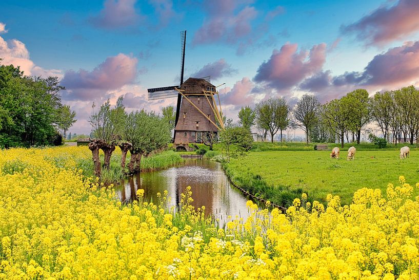 Poldermühle De Zwaan 1638 von Eduard Lamping