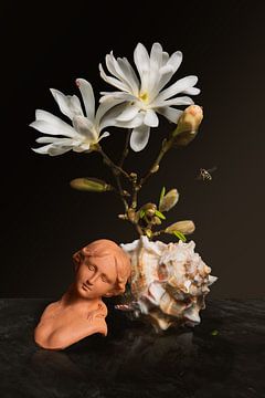 Royal Magnolia bloemstilleven van Sander Van Laar