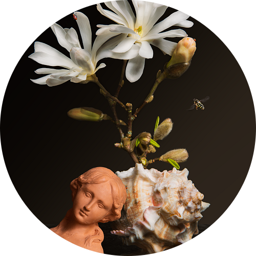 Royal Magnolia bloemstilleven
