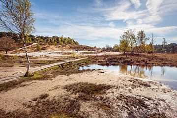 Roode Beek @ Brunssummerheide