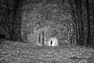 Pad door het bos naar het licht van Frank Heinz thumbnail