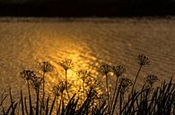 Sonnenuntergang am Wasser von Neil Kampherbeek Miniaturansicht