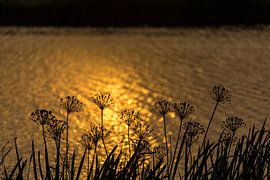 Sonnenuntergang am Wasser von Neil Kampherbeek