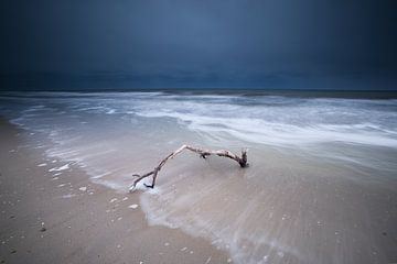 Branch along the coast by peterheinspictures