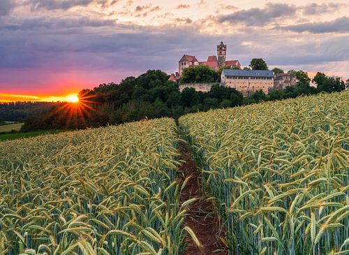 Zonsondergang met ster bij de Ronneburg