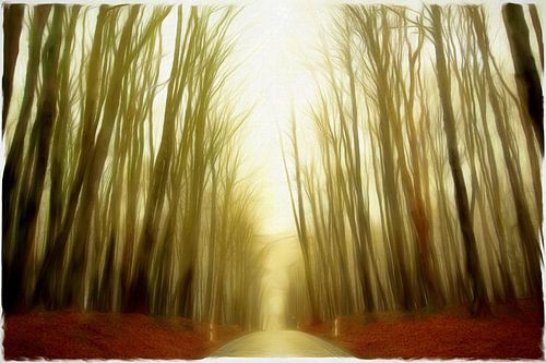 RÜGEN German Avenue Road - het nevelwoud II