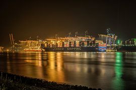 Porte-conteneurs à Maasvlakte 2 sur Leon Okkenburg