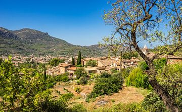 Klein dorp Biniaraix en Soller op de achtergrond, Mallorca van Alex Winter