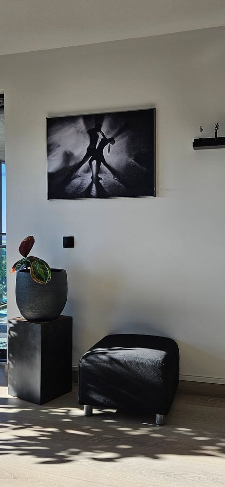 One more dance  by Hans Poels 