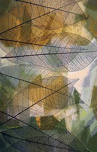 Malerisches, grafisches Foto mit Skelettblättern.