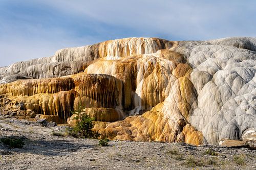 Mammoth Hot Springs, Yellowstone National Park, USA