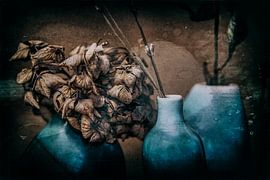 Hortensie im Winterschlaf