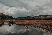 Clouds