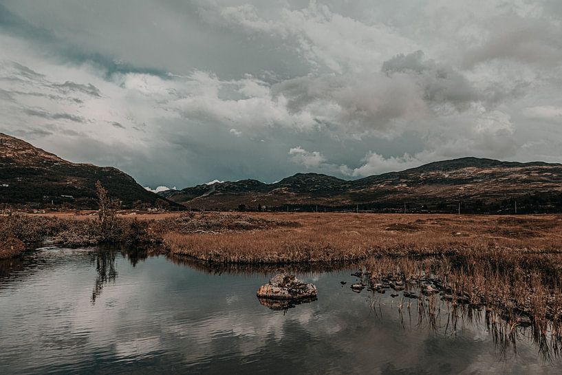 Clouds by Irene van de Wege