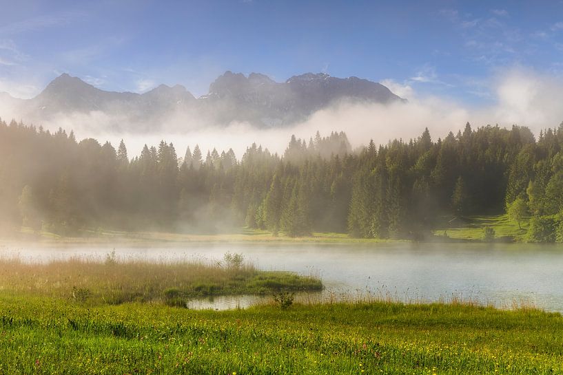 Frühsommer in der Alpenregion von Daniela Beyer