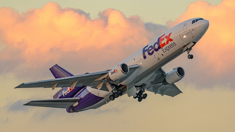 Avion cargo FedEx McDonnell Douglas DC-10. par Jaap van den Berg