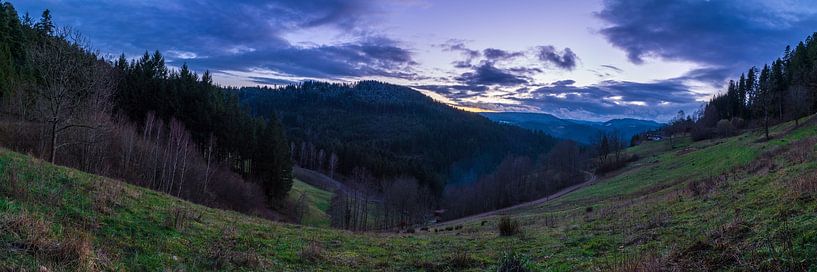 Germany, Endless forest landscape in german black forest nature by adventure-photos