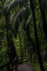 Costa Rica – wo Natur, Abenteuer und pure Schönheit aufeinander treffen