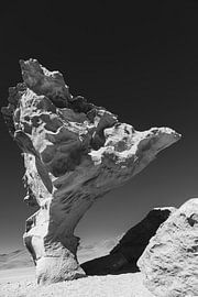 Balancing Rock by Daniël Schonewille