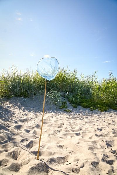 Blue landing net with wooden pole on a sandy beach with blue sky. by Martin Köbsch