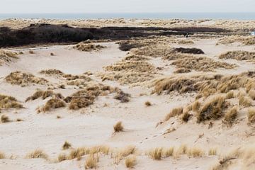 Les dunes du Westduinpark à Scheveningen sur Anne Zwagers