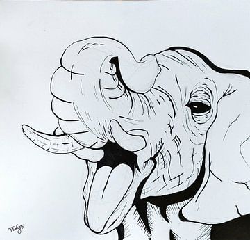 Elephant by Melle G