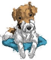Cute wire fox terrier