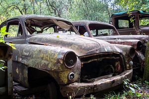 La voiture abandonnée de Rusty. sur Roman Robroek - Photos de bâtiments abandonnés