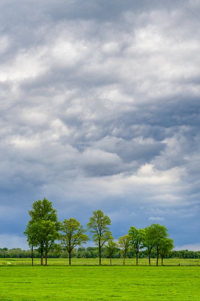 Storm clouds chasing over fresh green meadows during springtime by Sjoerd van der Wal Photography