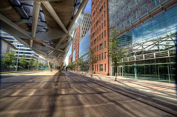 Beatrixkwartier netkous spiegeling landscape